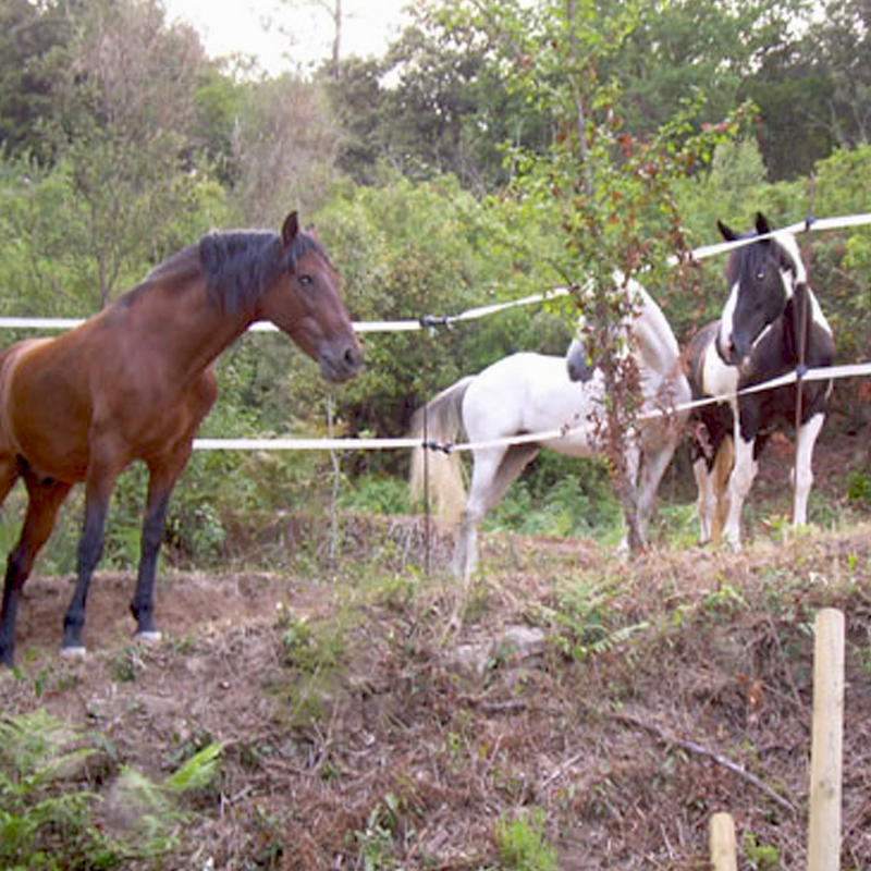 Casa rural en Sant Ferriol (La Garrotxa)